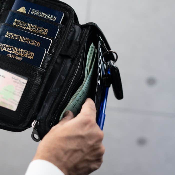 Apollo Passports wallet - Image 6